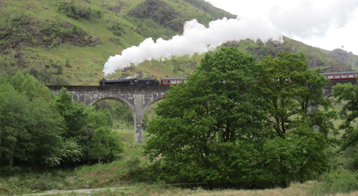 Steam train on the Viaduct, photo by Judy Renshaw