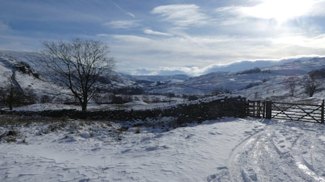 snowy