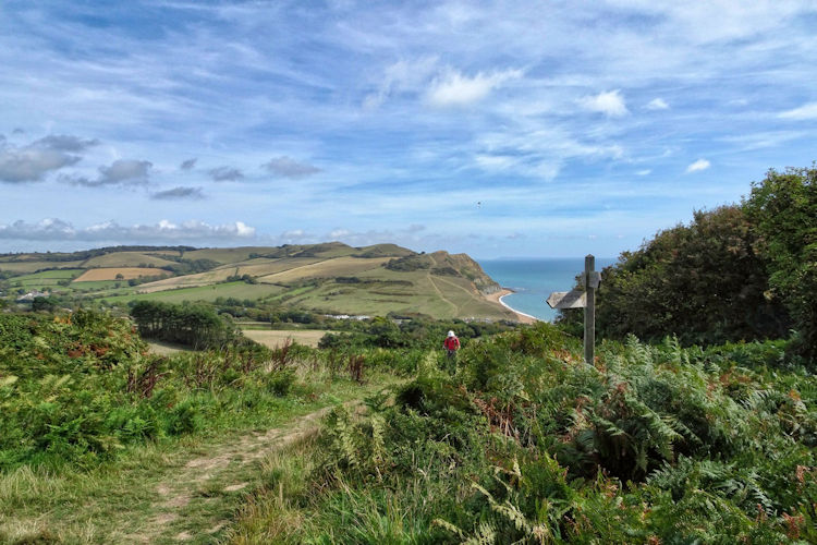 The coast. Photo by Julie Freemantle