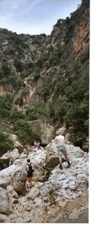 in the gorge