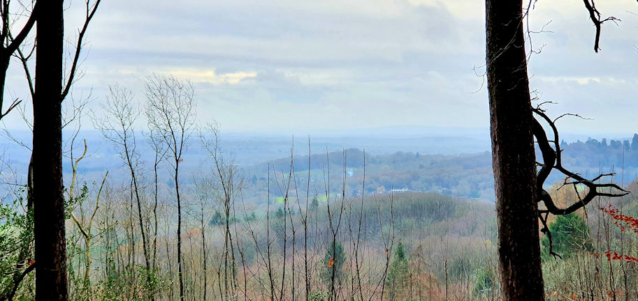 view