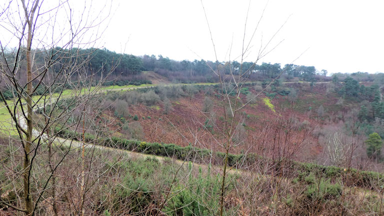 view