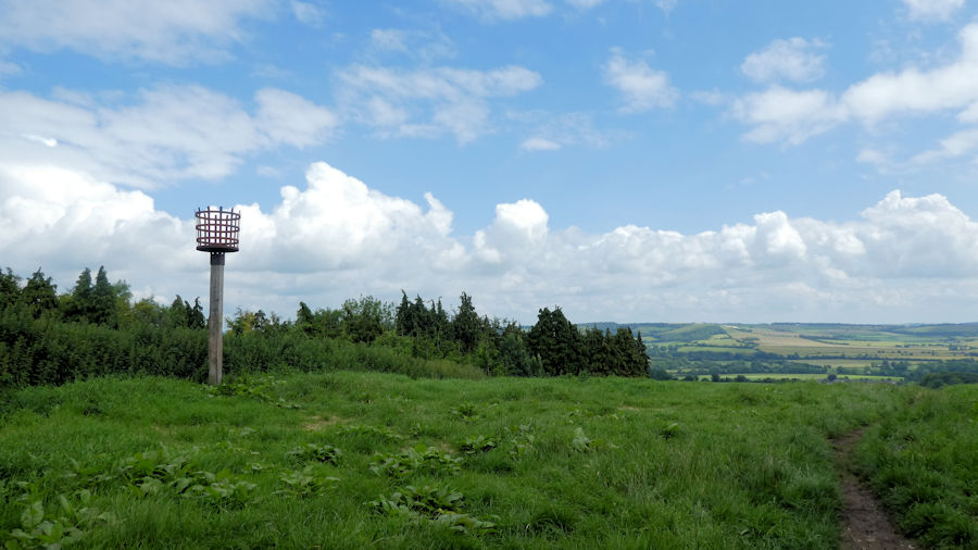 beacon