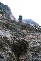 Esther on the ladders