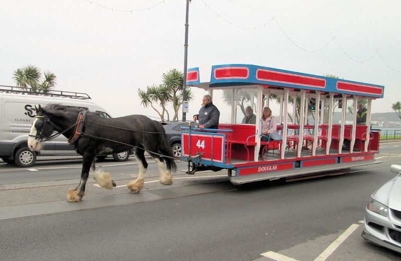 transport
