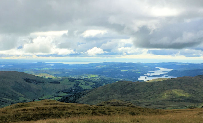 view