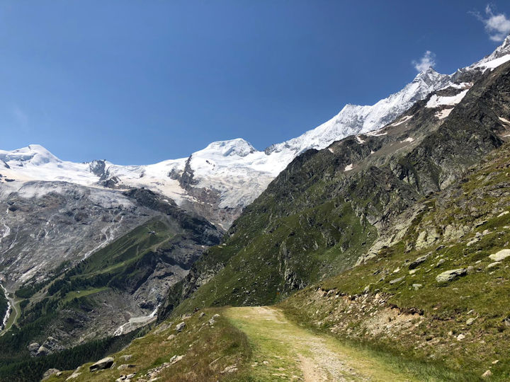 view