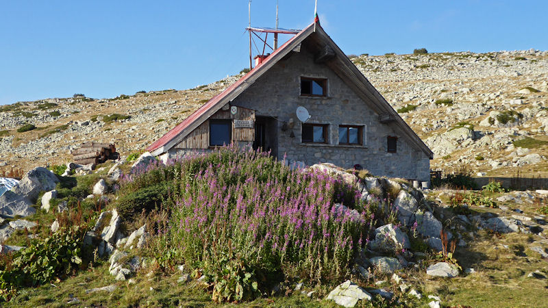 hut