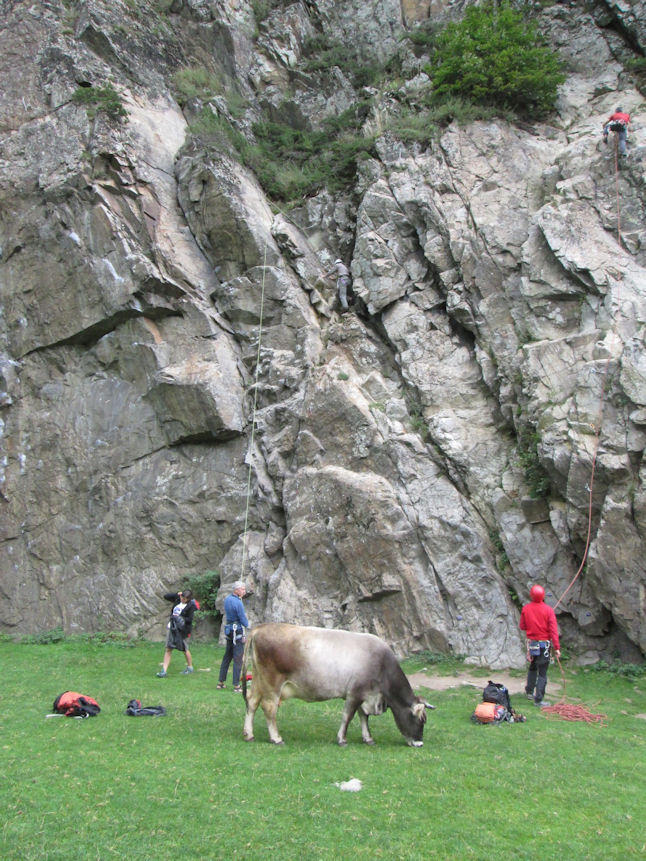 climbing