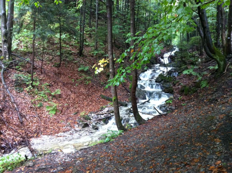 stream