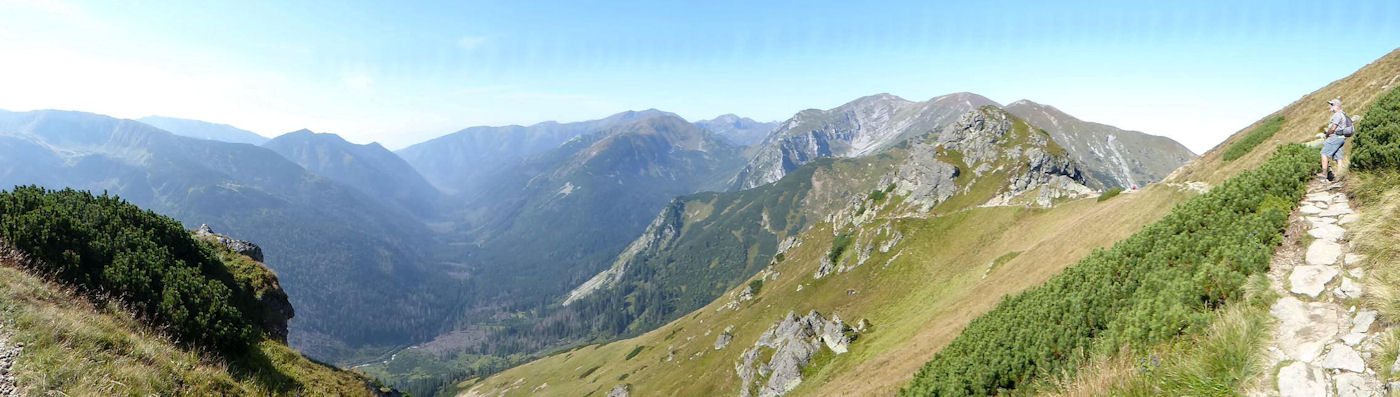 view