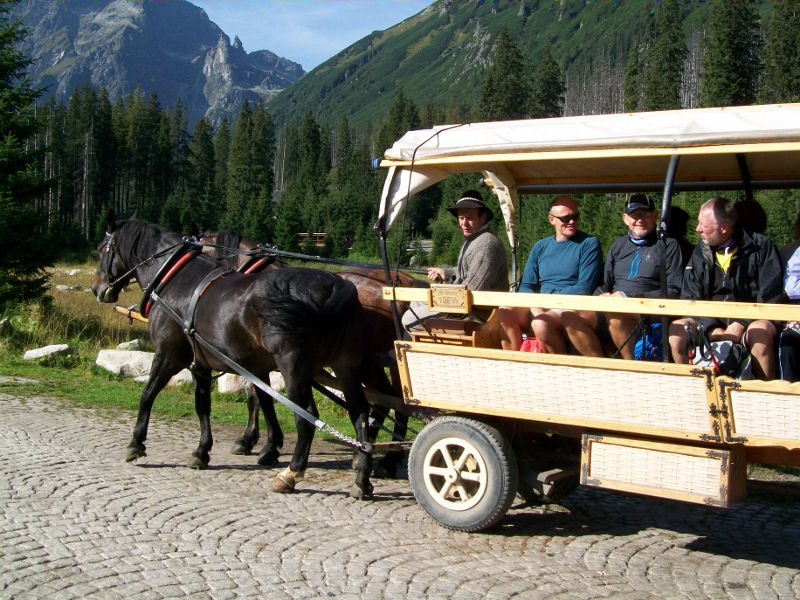 horse and cart
