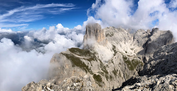 view